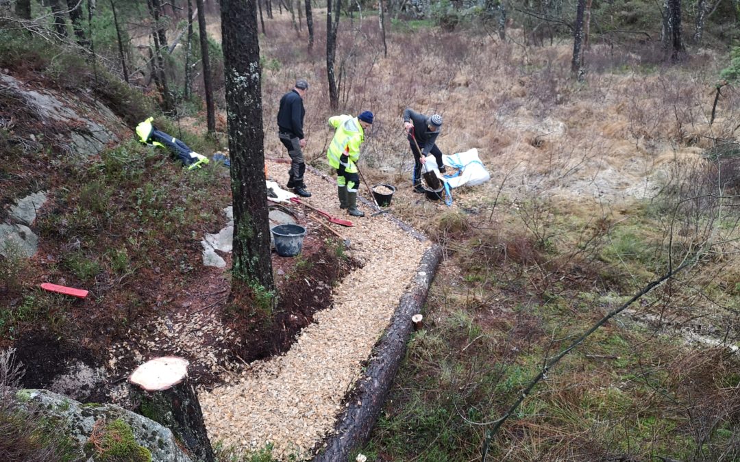 Turstier rundt Kjellandsvannet oppgraderes